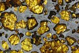 Fukang Pallasite ( g) Slice - Queen Of The Pallasites! #308274-3